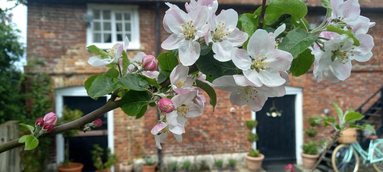 Plumpton Barn Villa Ashford  Bagian luar foto